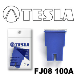  Tesla    FJ08 100 |  FJ08100A