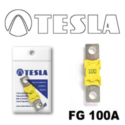  Tesla  MEGA 100A