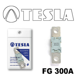  Tesla  MEGA 300A |  FG300A